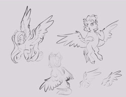 Size: 7800x6000 | Tagged: safe, artist:chub-wub, imported from derpibooru, pegasus, pony, ambiguous gender, flying, frown, hoof fluff, long mane, long tail, looking down, monochrome, partially open wings, raised hoof, rear view, requested art, short mane, simple background, sitting, sketch, smiling, spread wings, tail, tan background, thinking, three quarter view, trio, unknown pony, wavy mane, wavy tail, wings