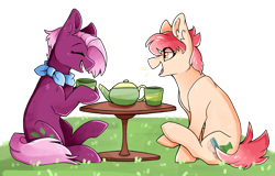 Size: 1280x817 | Tagged: safe, artist:sunnysynopsis, imported from derpibooru, jasmine leaf, raspberry vinaigrette, earth pony, pony, duo, female, food, tea