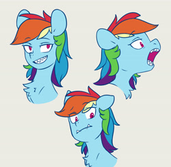 Size: 4624x4500 | Tagged: safe, artist:chub-wub, imported from derpibooru, rainbow dash, pegasus, pony, bedroom eyes, chest fluff, cute, cute little fangs, fangs, female, gray background, grin, mare, open mouth, sharp teeth, simple background, smiling, solo, teeth