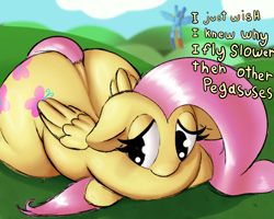 Size: 3000x2400 | Tagged: safe, artist:boneappleteeth, imported from derpibooru, fluttershy, rainbow dash, pegasus, pony, butt, chubby, dialogue, duo, female, flutterbutt, large butt, lying down, mare, plot, prone, sad