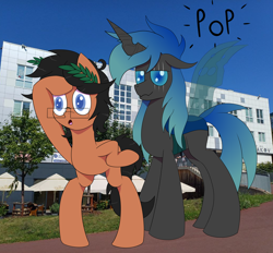 Size: 9031x8382 | Tagged: safe, artist:laurelcrown, imported from derpibooru, oc, oc:kryostasis, oc:laurel crown, changeling, earth pony, pony, changeling oc, digital art, earth pony oc, glasses, real life background