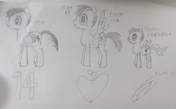 Size: 3100x1927 | Tagged: safe, imported from derpibooru, oc, oc only, oc:14fan, oc:comet starstruck, oc:empire jack, pegasus, colt, foal, male, pegasus oc, photo, traditional art, wings