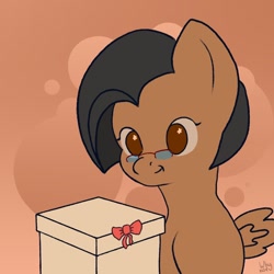 Size: 1024x1024 | Tagged: safe, artist:whynot_akril, imported from derpibooru, oc, pegasus, pony, my little pony: pony life, birthday, brown eyes, brown hair, brown mane, glasses, my little pony, present, short hair, sketch, solo, tiny