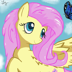 Size: 499x500 | Tagged: safe, artist:xvoomertx, imported from derpibooru, fluttershy, pegasus, pony, solo