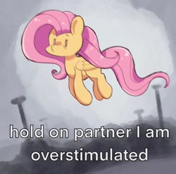 Size: 1470x1450 | Tagged: safe, artist:typhwosion, imported from derpibooru, fluttershy, meme, ponified meme, solo, text