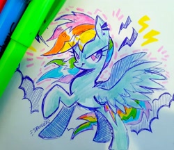 Size: 3350x2896 | Tagged: safe, artist:spoiledskullz, imported from derpibooru, rainbow dash, pegasus, female, mare, marker, marker drawing, solo, traditional art