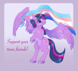 Size: 2016x1828 | Tagged: safe, artist:cassarts, imported from derpibooru, twilight sparkle, alicorn, pony, bipedal, female, holding, mare, pride, pride flag, solo, transgender pride flag, twilight sparkle (alicorn), unshorn fetlocks