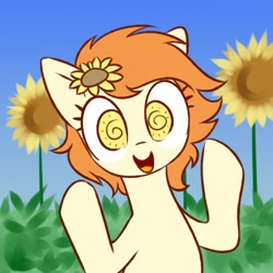 Size: 2000x2000 | Tagged: safe, artist:anonymous, imported from derpibooru, oc, oc only, oc:thursday, earth pony, /bale/, earth pony oc, female, female oc, flower, flower in hair, looking at you, mare, mare oc, open mouth, open smile, raised hooves, smiling, smiling at you, solo, sunflower, weekday ponies, wingding eyes