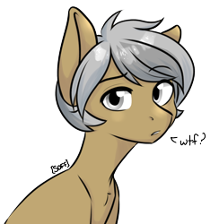 Size: 1360x1394 | Tagged: safe, artist:soff, imported from derpibooru, oc, oc only, oc:hind, earth pony, pony, bust, confused, gray eyes, grey hair, looking at you, male, portrait, solo, solo male, stallion