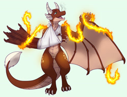 Size: 3000x2289 | Tagged: safe, artist:irhileth, imported from derpibooru, oc, oc:ash, dragon, wyvern, bandage, broken bone, broken wing, cast, claws, colored wings, commission, dragon oc, dragonified, injured, magic, non-pony oc, nonbinary, pyrokinesis, simple background, sling, species swap, tail, wings