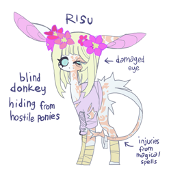 Size: 851x851 | Tagged: safe, artist:cutesykill, imported from derpibooru, oc, oc only, oc:risu, donkey, arrow, bandage, bandaged leg, battle scarred, big ears, blind, blue eyes, blue sclera, body fluff, body scar, butt fluff, clothes, colored pinnae, donkey oc, ear scar, eye scar, eyelashes, facial scar, floppy ears, flower, flower in hair, leg scar, leonine tail, long ears, long legs, long mane, no catchlights, no mouth, non-pony oc, purple text, scar, shirt, simple background, solo, standing, straight mane, tail, tail scar, thick eyelashes, torn clothes, white background, white coat, white mane, white tail