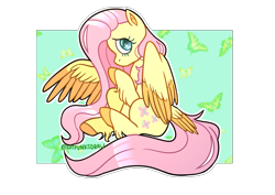 Size: 4092x2893 | Tagged: safe, artist:blueonegone, imported from derpibooru, fluttershy, butterfly, pegasus, pony, colored hooves, colored wings, cute, female, high res, hooves, looking at you, mare, one wing out, outline, partial background, partially transparent background, profile, raised hoof, shyabetes, sitting, solo, tail, tail feathers, two toned wings, unshorn fetlocks, white outline, wings