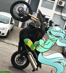 Size: 720x801 | Tagged: safe, artist:andaluce, imported from derpibooru, lyra heartstrings, pony, unicorn, alcohol, beer, beer can, black and yellow, brazil, chest fluff, clothes, drink, female, gold, horn, irl, jewelry, mare, motorcycle, photo, ponies in real life, socks, solo, wind, yellow eyes