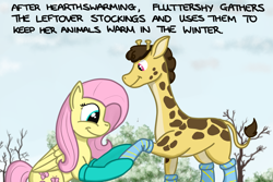 Size: 1800x1200 | Tagged: safe, artist:hoofclid, imported from derpibooru, fluttershy, giraffe, pegasus, pony, clothes, duo, duo male and female, female, giraffe oc, male, mare, outdoors, smiling, socks, stockings, text, thigh highs