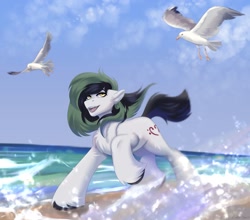 Size: 2048x1801 | Tagged: safe, artist:enderbee, imported from derpibooru, oc, oc only, oc:trance sequence, bird, earth pony, pony, male, ocean, running, smiling, solo, stallion, water