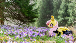 Size: 1192x671 | Tagged: safe, artist:mgrdash, imported from derpibooru, fluttershy, bat pony, pony, bat ponified, crocus, flower, flutterbat, irl, photo, plushie, ponies in real life, race swap