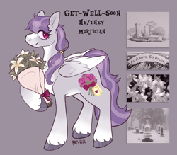 Size: 1247x1094 | Tagged: safe, artist:beyhr, imported from derpibooru, oc, oc only, oc:get-well-soon, pegasus, pony, bags under eyes, blaze (coat marking), bouquet, bouquet of flowers, coat markings, colored belly, colored hooves, colored wings, colored wingtips, eyelashes, facial markings, flower, folded wings, gradient legs, gravestone, graveyard, gray coat, gray hooves, hair tie, hoof hold, hooves, lily (flower), long mane, long mane male, looking back, male, male oc, mane tie, moodboard, oc redesign, pale belly, pegasus oc, pink eyes, ponytail, profile, purple mane, purple tail, red eyes, shiny hooves, signature, smiling, socks (coat markings), solo, stallion, stallion oc, standing, standing on three hooves, tail, text, three toned wings, tied mane, two toned mane, two toned tail, white wingtips, wings