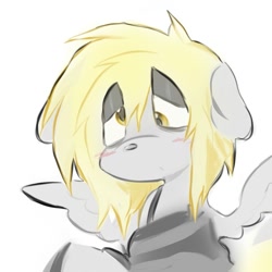 Size: 877x876 | Tagged: safe, artist:sn00wd0gg3, imported from derpibooru, pegasus, pony, blonde mane, bust, clothes, gray coat, lidded eyes, shirt, simple background, solo, spread wings, striped shirt, white background, wings