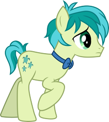 Size: 3000x3357 | Tagged: safe, artist:cloudy glow, imported from derpibooru, sandbar, earth pony, pony, male, simple background, solo, transparent background, vector