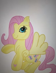 Size: 640x826 | Tagged: safe, artist:theborahaejellyfish, edit, imported from derpibooru, fluttershy, pegasus, pony, female, g3, g4 to g3, generation leap, mare, raised hoof, simple background, smiling, solo, spread wings, white background, wings