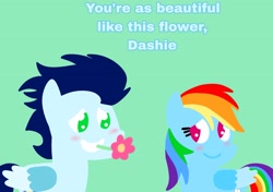 Size: 3553x2499 | Tagged: safe, anonymous artist, derpibooru exclusive, imported from derpibooru, rainbow dash, soarin', pegasus, pony, series:soarindash relationship, series:soarindash romantic tales, female, flower, male, mare, pointy ponies, shipping, soarindash, stallion, straight, text