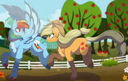 Size: 5036x3199 | Tagged: safe, artist:brybrychan, artist:bryonythewolf, imported from derpibooru, applejack, rainbow dash, earth pony, pegasus, pony, absurd resolution, appledash, chest fluff, duo, female, lesbian, mare, running, shipping, spread wings, sweet apple acres, unshorn fetlocks, wings