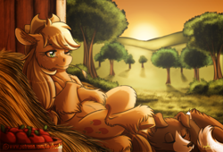 Size: 2000x1356 | Tagged: safe, artist:inuhoshi-to-darkpen, imported from derpibooru, applejack, winona, dog, earth pony, pony, apple, barn, basket, crossed hooves, duo, ear fluff, female, fluffy, food, fruit, grass, grass field, hay, lying down, mare, on back, one eye closed, patreon, patreon logo, pet, scenery, signature, sleeping, straw, sunset, sweet apple acres, unshorn fetlocks