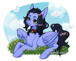 Size: 2000x1600 | Tagged: safe, artist:ayanalune, imported from derpibooru, oc, oc:skiu, butterfly, pegasus, pony, bell, bell collar, cloud, collar, green eyes, solo, wings