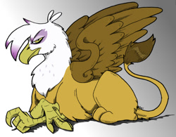 Size: 800x625 | Tagged: safe, artist:pacce, artist:razzek, color edit, edit, imported from twibooru, gilda, griffon, colored, crossed arms, frown, gradient background, grumpy, image, looking at you, looking sideways, lying down, needs more jpeg, prone, side view, simple background, solo, spread wings, wings