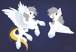 Size: 2054x1415 | Tagged: safe, artist:hioshiru, imported from derpibooru, oc, oc only, oc:kej, pegasus, pony, black and yellow, blue background, chest fluff, concave belly, cute, ear fluff, fluffy, leg fluff, male, open mouth, pegasus oc, simple background, slender, solo, spread wings, stallion, striped tail, style emulation, tail, thin, unshorn fetlocks, wings