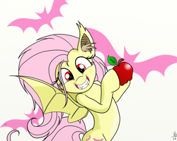 Size: 2500x2000 | Tagged: safe, artist:arcuswind, imported from derpibooru, fluttershy, bat pony, pony, apple, bat ponified, cute, ear fluff, fangs, female, flutterbat, food, grin, race swap, shyabates, shyabetes, smiling, solo