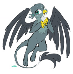 Size: 1500x1511 | Tagged: safe, artist:neoncel, imported from derpibooru, gabby, griffon, the fault in our cutie marks, colored sketch, cute, female, flying, gabbybetes, my little pony, open mouth, sketch, smiling, solo, spread wings, wings