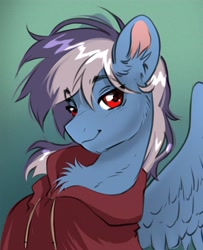 Size: 2700x3330 | Tagged: safe, artist:opalacorn, imported from derpibooru, oc, oc only, oc:silver lightning, pegasus, pony, bust, chest fluff, clothes, ear fluff, eyebrows, eyebrows visible through hair, gradient background, hoodie, lidded eyes, looking at you, male, smiling, smiling at you, solo, stallion