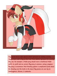 Size: 2400x3200 | Tagged: safe, artist:datdoughnut, imported from derpibooru, oc, oc only, poland, solo