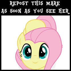 Size: 896x892 | Tagged: safe, imported from derpibooru, fluttershy, cute, daaaaaaaaaaaw, female, looking at you, mare, repost, shyabetes