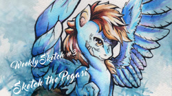 Size: 1026x576 | Tagged: safe, artist:madartistparadise, imported from derpibooru, oc, oc only, pegasus, pony, 2016, brown mane, pegasus oc, solo, text, traditional art, watercolor painting, wings