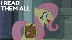 Size: 1920x1080 | Tagged: safe, edit, edited screencap, editor:quoterific, imported from derpibooru, screencap, fluttershy, pegasus, pony, daring doubt, bag, female, mare, my little pony, saddle bag, solo