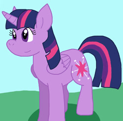 Size: 905x883 | Tagged: safe, artist:cmara, imported from derpibooru, twilight sparkle, alicorn, pony, female, solo, twilight sparkle (alicorn)