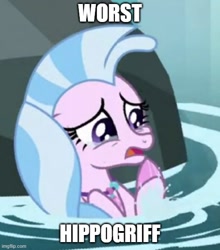 Size: 500x568 | Tagged: safe, edit, edited screencap, imported from derpibooru, screencap, silverstream, annoying, crying, deserved, funny, loser, op is right, op is telling the truth, op succeeded in being funny, pathetic, punishment, streamabuse, stupid, truth, worst characters of all time, worst hippogriff, worst pony