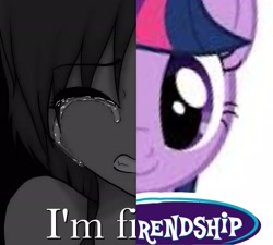 Size: 2400x2156 | Tagged: safe, edit, imported from derpibooru, twilight sparkle, human, unicorn, female, horn, i'm fine, mare, meme, shitposting