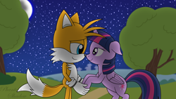 Size: 4800x2700 | Tagged: safe, artist:phantomshadow051, imported from derpibooru, twilight sparkle, alicorn, anthro, fox, pony, boop, crossover, crossover shipping, digital art, duo, grass, holding hands, miles "tails" prower, mobian, night, noseboop, road, shipping, signature, sky, sonic the hedgehog (series), sonicified, starry night, stars, tree, twilight sparkle (alicorn), twitails