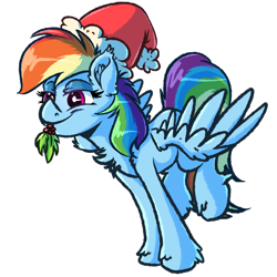 Size: 2449x2449 | Tagged: safe, artist:witchtaunter, imported from derpibooru, rainbow dash, pegasus, pony, chest fluff, christmas, cute, dashabetes, ear fluff, female, hat, high res, holiday, holly, holly mistaken for mistletoe, lidded eyes, mare, mouth hold, santa hat, simple background, smiling, solo, spread wings, transparent background, wings