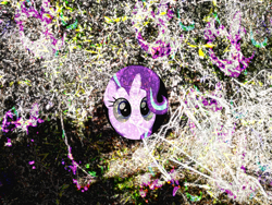 Size: 4160x3120 | Tagged: safe, imported from derpibooru, starlight glimmer, unicorn, every little thing she does, bush, glitch art, horn, irl, my little pony, photo, psychedelic, smiling