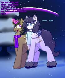 Size: 2048x2458 | Tagged: safe, artist:askhypnoswirl, imported from derpibooru, doctor whooves, time turner, oc, oc only, pegasus, unicorn, boots, clothes, duo, duo male, horn, magic, male, night, pegasus oc, scarf, shield, shoes, snow, tree, unicorn oc, wings