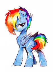 Size: 2341x3122 | Tagged: safe, artist:liaaqila, imported from derpibooru, rainbow dash, pegasus, pony, the cutie re-mark, alternate hairstyle, alternate timeline, apocalypse dash, body scar, chest fluff, crystal war timeline, facial scar, female, looking back, mare, missing accessory, missing cutie mark, my little pony, scar, simple background, solo, torn ear, white background