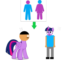 Size: 1165x1136 | Tagged: safe, artist:williamtheofficial, imported from derpibooru, twilight sparkle, oc, alicorn, human, pony, female, head swap, male, simple background, twilight sparkle (alicorn)