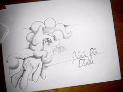 Size: 4000x3000 | Tagged: safe, artist:anonymous, imported from derpibooru, pinkie pie, earth pony, pony, drawthread, female, flower, grin, happy, mare, mouth hold, requested art, running, smiling, solo, traditional art