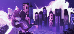 Size: 3270x1503 | Tagged: safe, artist:tyutya, imported from derpibooru, oc, oc only, pony, unicorn, city, cityscape, detailed background, ear fluff, female, horn, mare, night, solo, stars