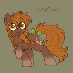 Size: 600x600 | Tagged: safe, artist:php193, imported from derpibooru, oc, oc only, oc:wildflower, earth pony, pony, bow, braid, braided pigtails, brown coat, female, freckles, green background, messy mane, orange mane, pigtails, simple background, solo, solo female, tail, tail bow