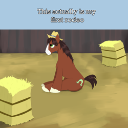 Size: 2000x2000 | Tagged: safe, artist:lillslim, imported from derpibooru, trouble shoes, earth pony, pony, cowboy hat, drawthread, fence, frown, hat, hay bale, male, ponified, requested art, rodeo, short tail, sitting, stallion, tail, text